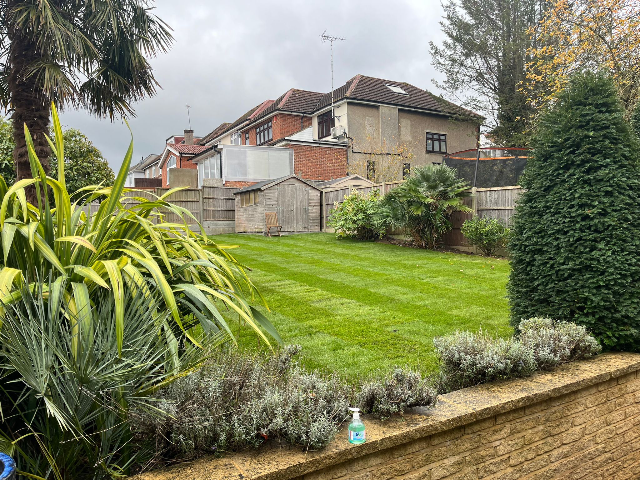 WhatsApp Image 2026-02-02 at 22.44.50