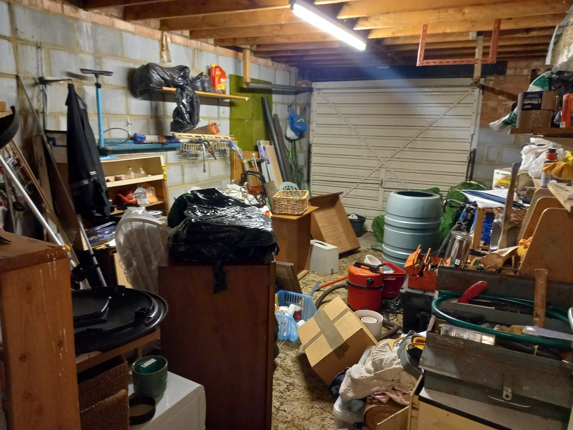 gdgdfWhatsApp Image 2026-01-26 at 22.07.47